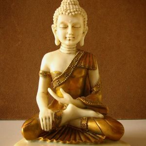 Meet your Posher, Lois